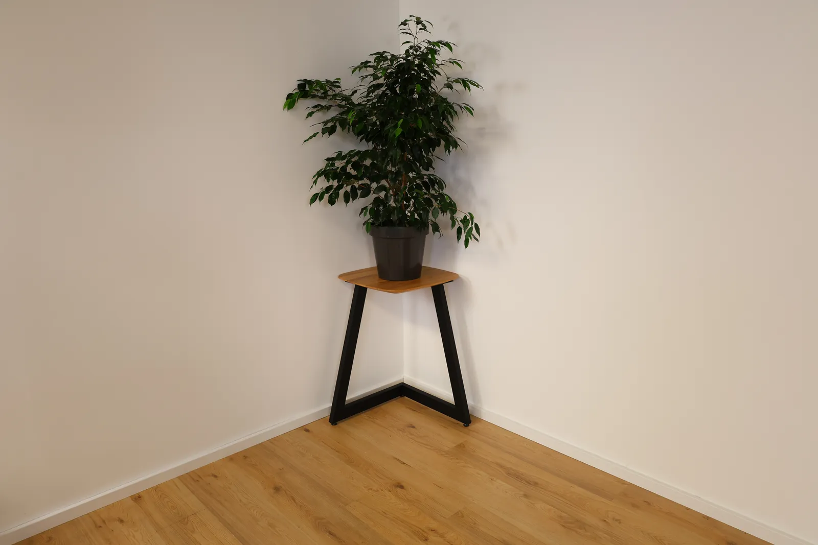 The Nordic Nest Triangular European Oak Plant Stand