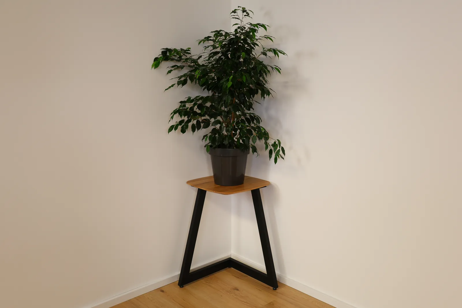 The Nordic Nest Triangular European Oak Plant Stand – product view 2